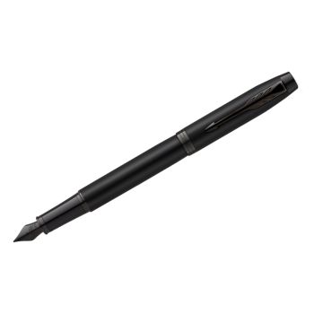 Ручка перьевая Parker 