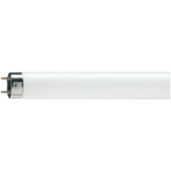 Лампа люминесцентная OSRAM G13 36W/765 (длинная)