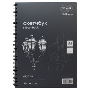 Альбом для графики, 30л., А4, на спирали Гамма 